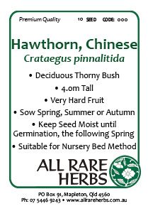 Hawthorn Chinese